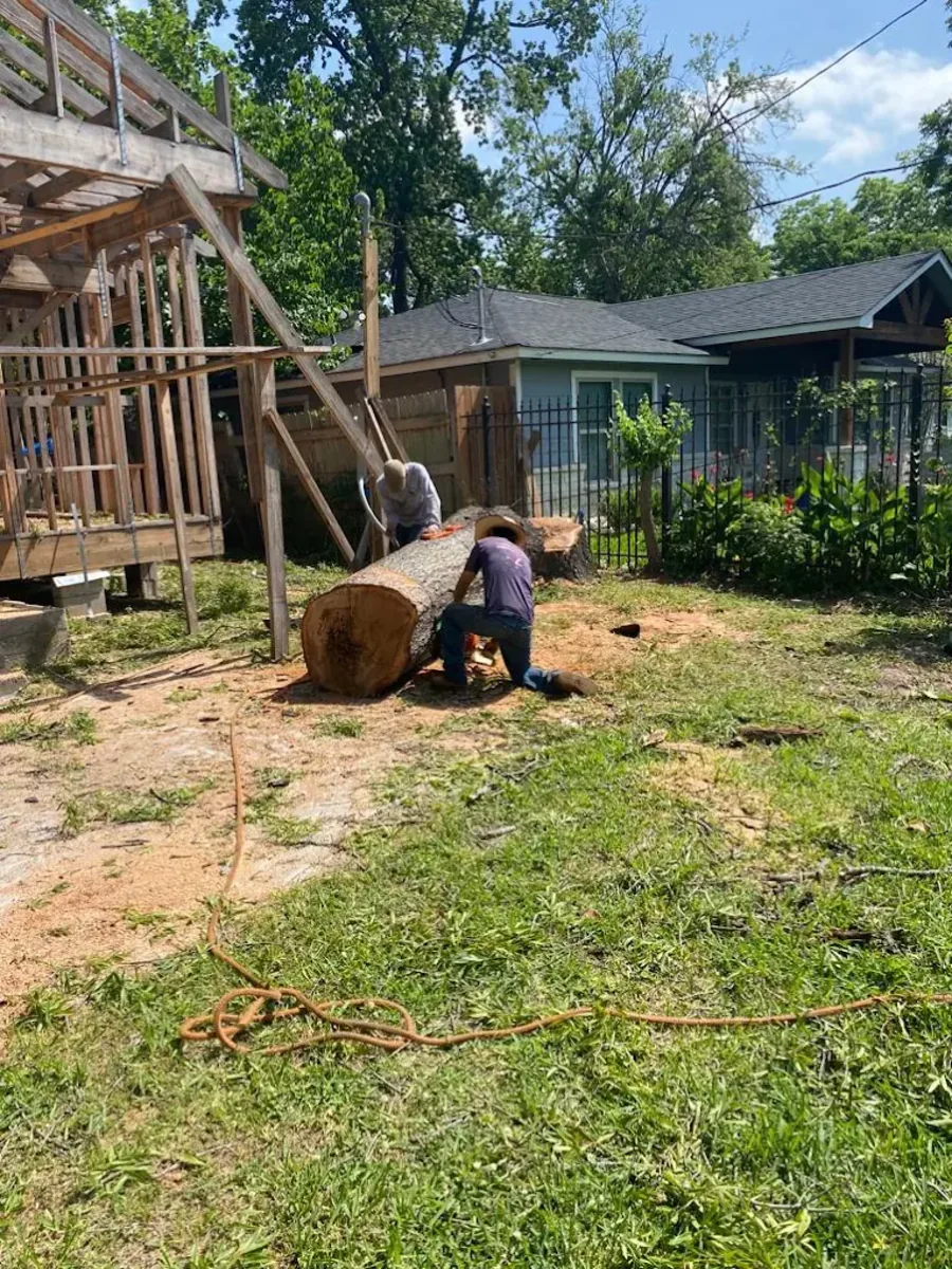 Crew cutting a large tree log into sections