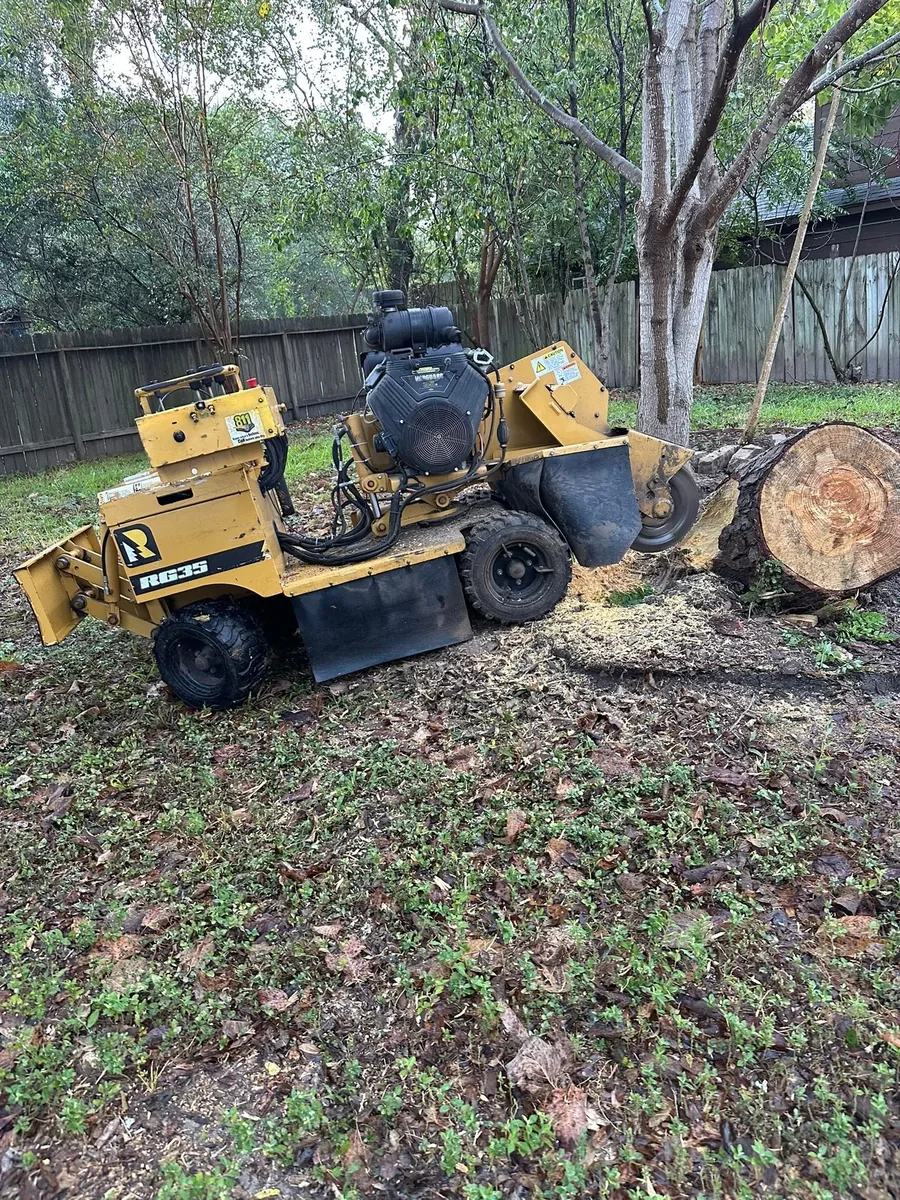 Stump grinder positioned beside a large tree stump
