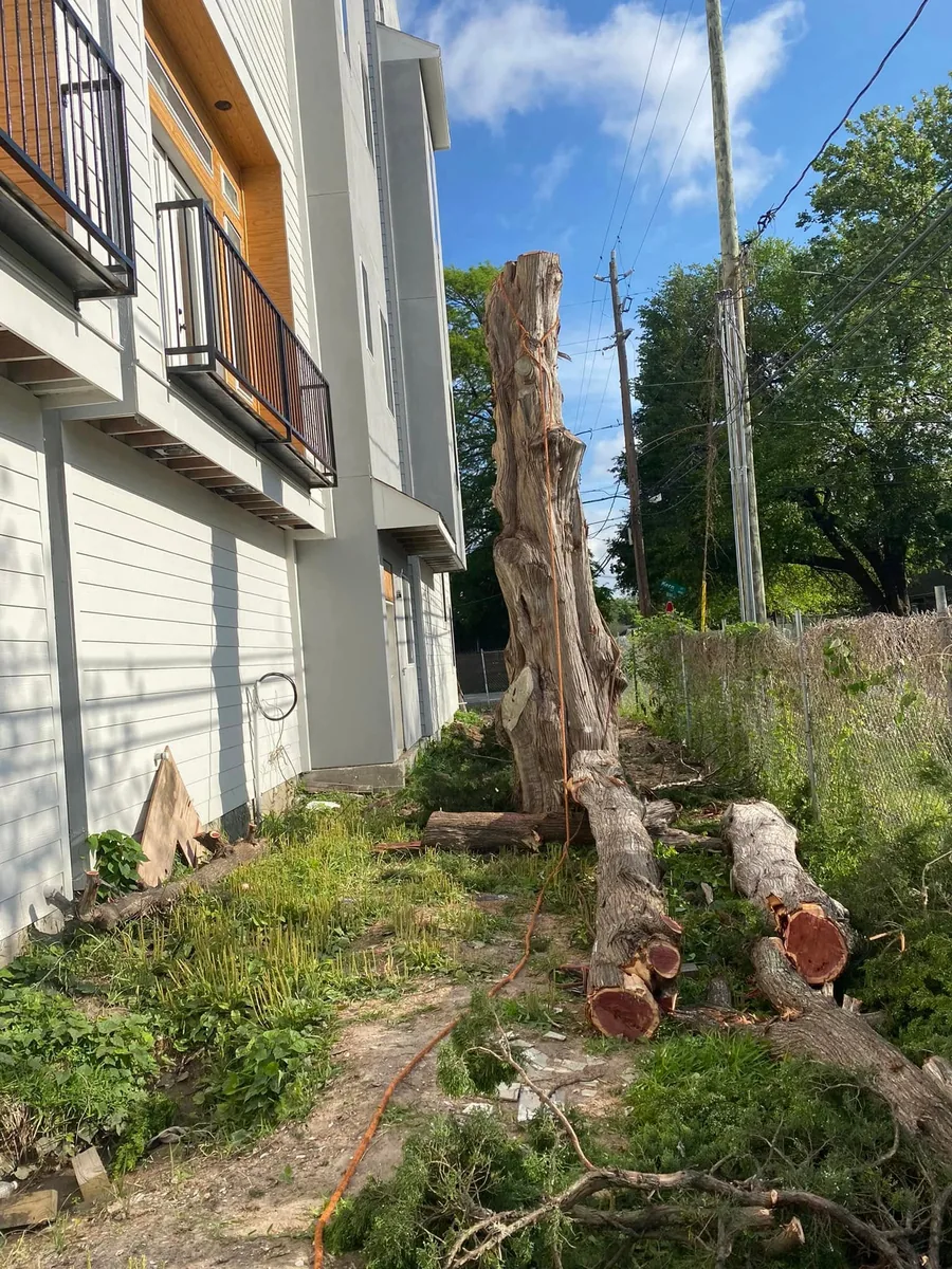Tree trunk sections cut down beside a house